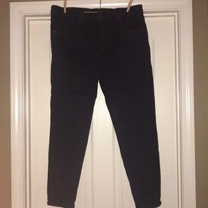 Universal Standard Jeans